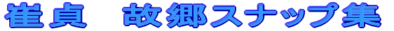 @̋XibvW